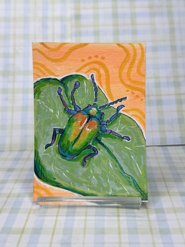 Aceo original jewel beetle - aceo,